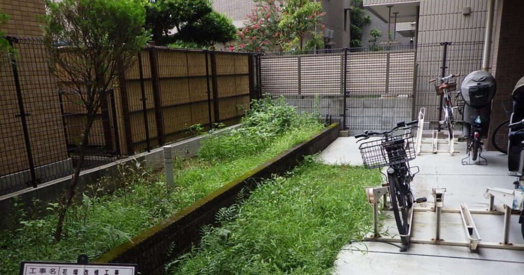 草が生え放題の花壇