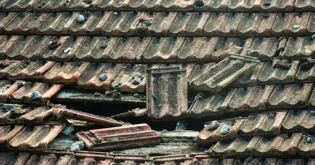 自然災害による瓦の破損